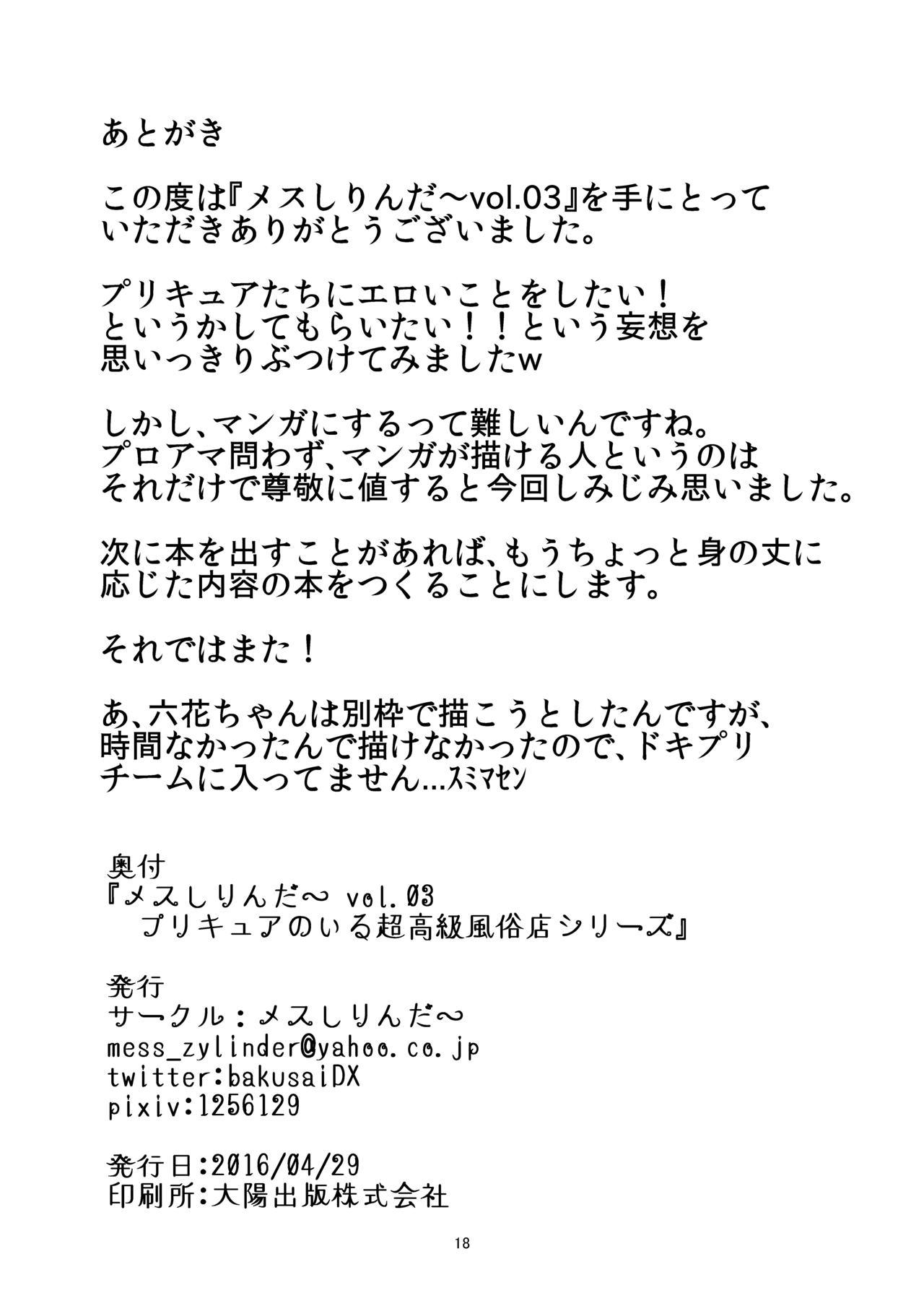 Mess Zylinder Vol. 03 PreCure no Iru Chou Koukyuu Fuuzokuten Series + Rakugaki Bon 16