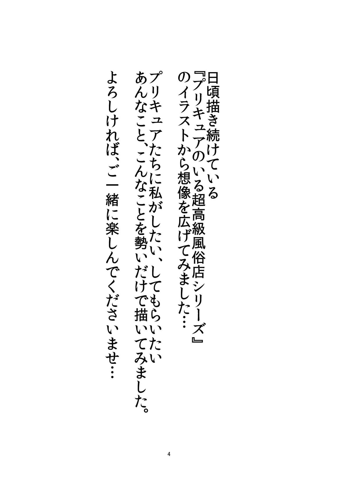 Mess Zylinder Vol. 03 PreCure no Iru Chou Koukyuu Fuuzokuten Series + Rakugaki Bon 2