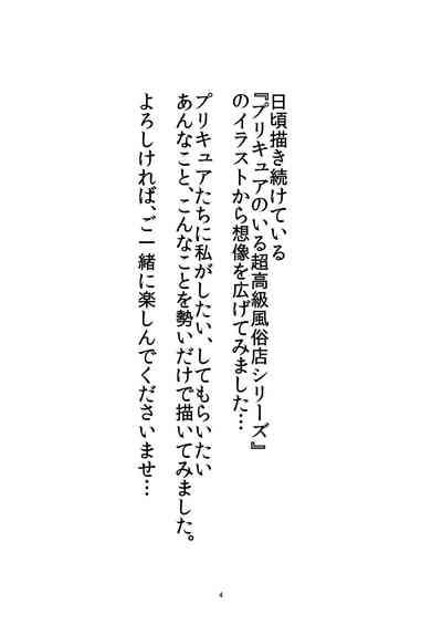Mess Zylinder Vol. 03 PreCure no Iru Chou Koukyuu Fuuzokuten Series + Rakugaki Bon 3