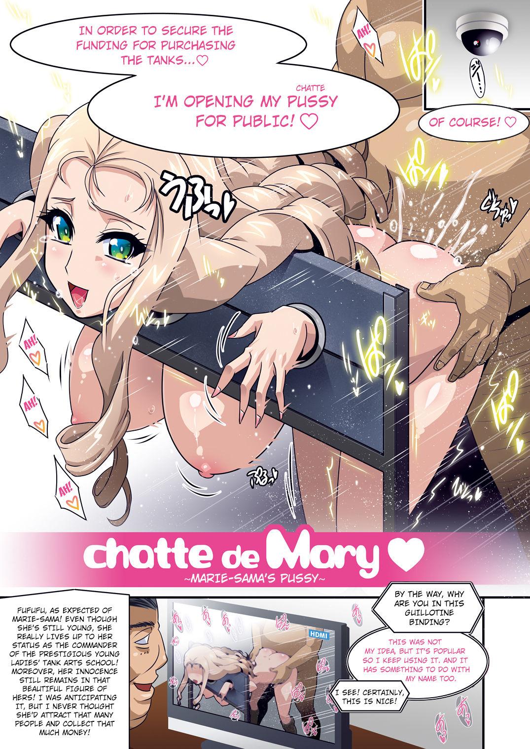 chatte de Mary 4