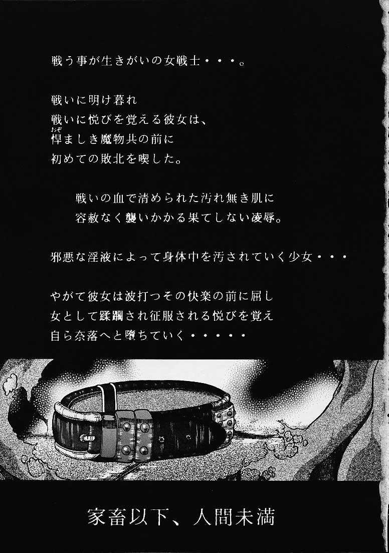 Mask Ainyuu - Dragon quest iii HD - Page 2