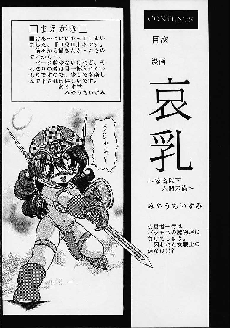 Comendo Ainyuu - Dragon quest iii Tits - Page 5
