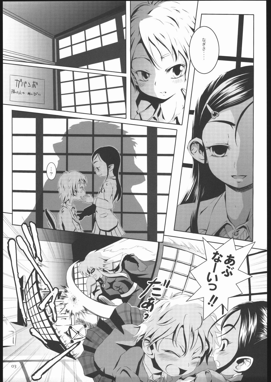 Sapphic Gabanbo - Pretty cure Chacal - Page 5
