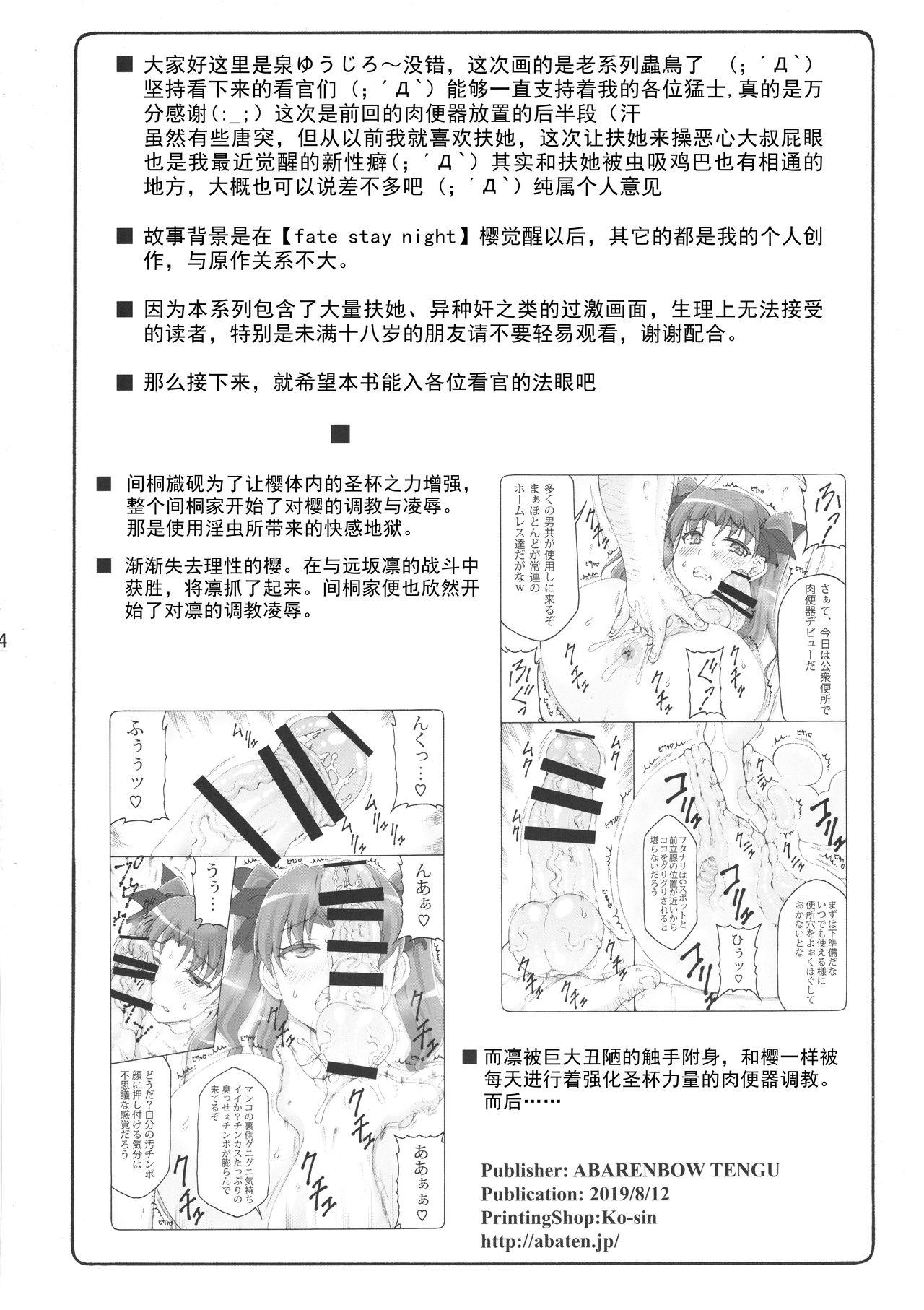 Chibola Kotori 16 - Fate stay night Perfect Body - Page 4