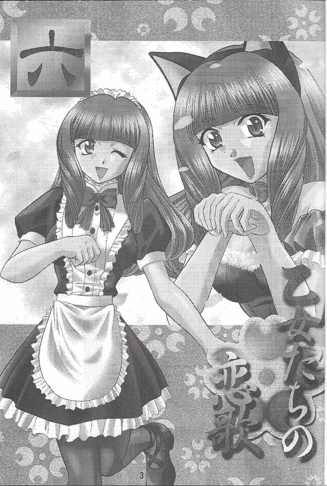 Shesafreak Otome-tachi no Koiuta Roku - Sakura taisen | sakura wars Swallowing - Picture 3