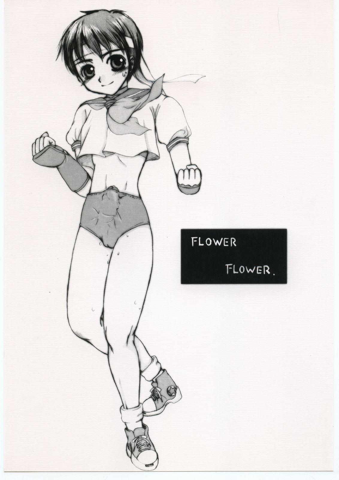Gay Fuck FLOWER FLOWER. - Street fighter Darkstalkers Erotic - Page 1