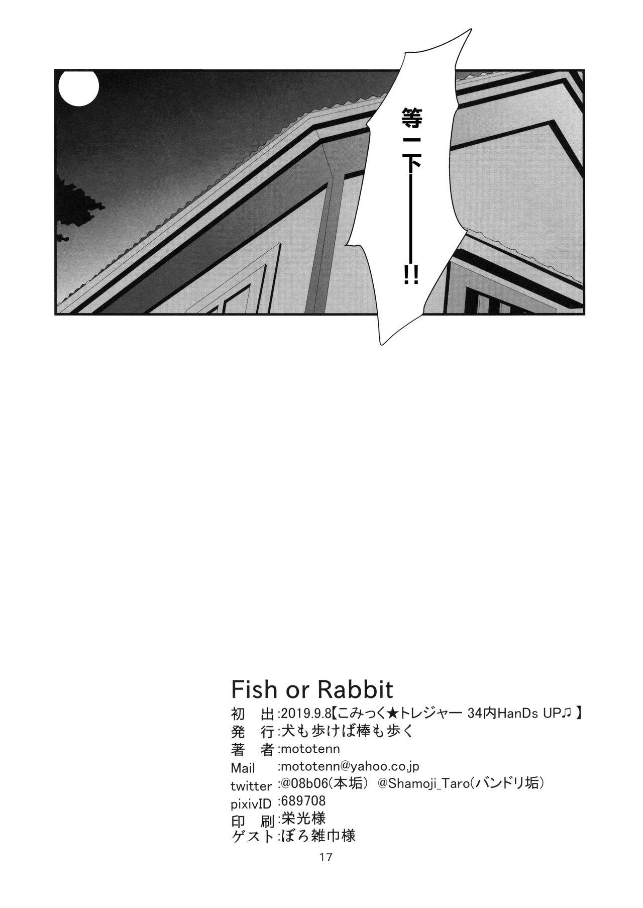 Fish or Rabbit 16