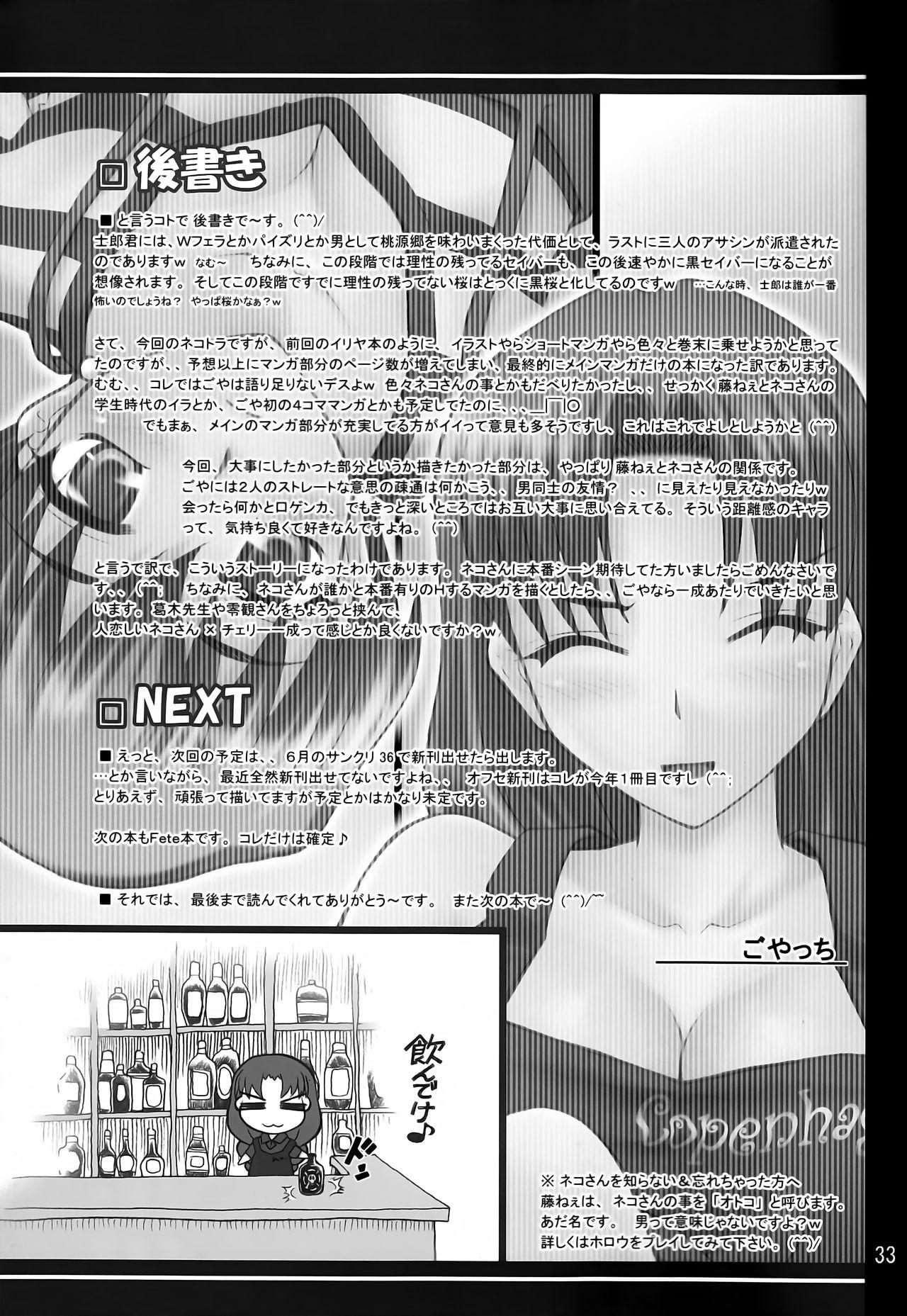 (COMIC1) [PURIMONO (Goyac)] Nekotora -Nekoka no Onee-san wa Suki desu ka?- | Cat Tiger: Do you like feline big sisters? Fate/Stay Afternoon (Fate/stay night) [English] [EHCOVE] 29