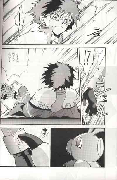 Sayonara Digimon Kaiser R 10