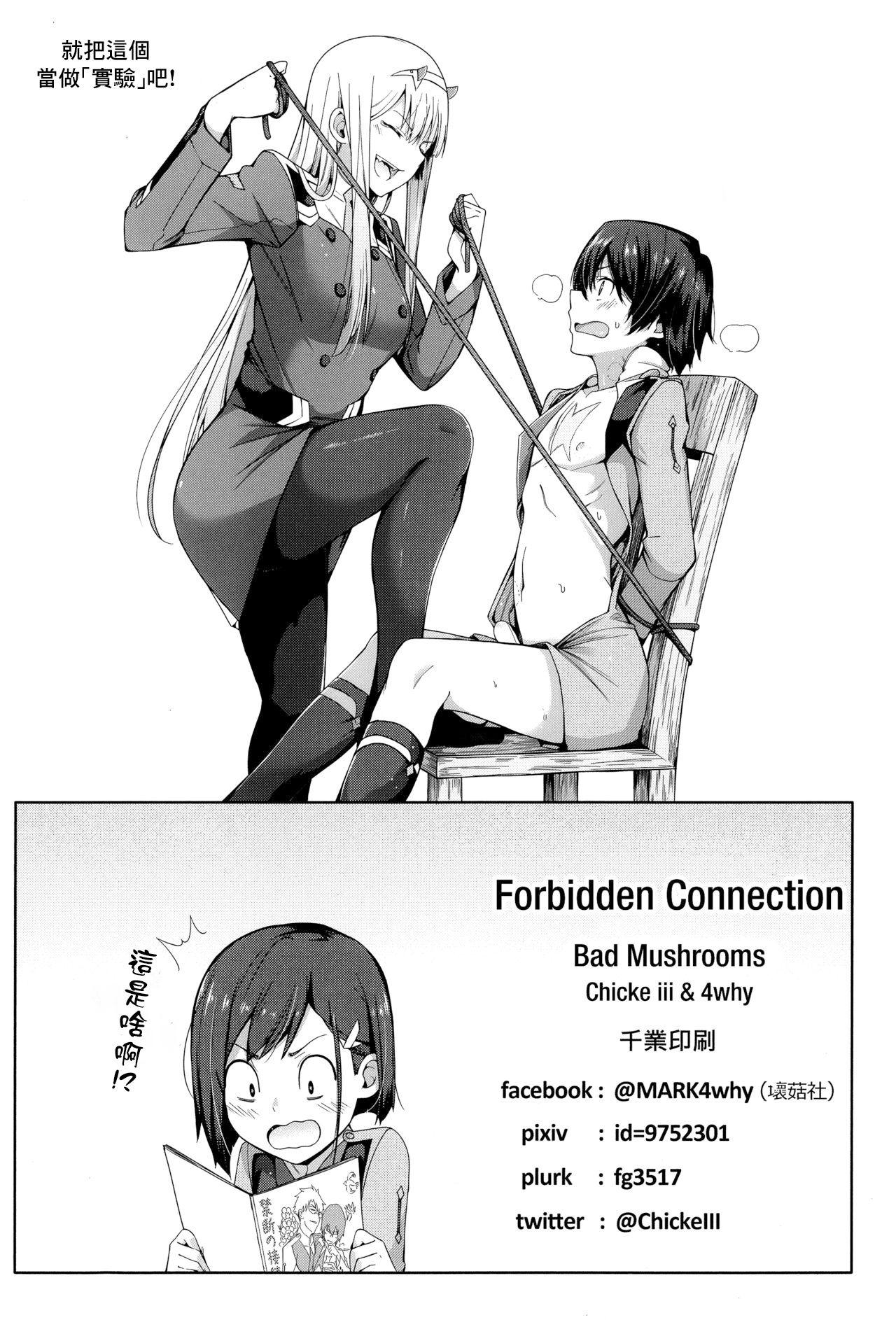 Forbidden Connection 13