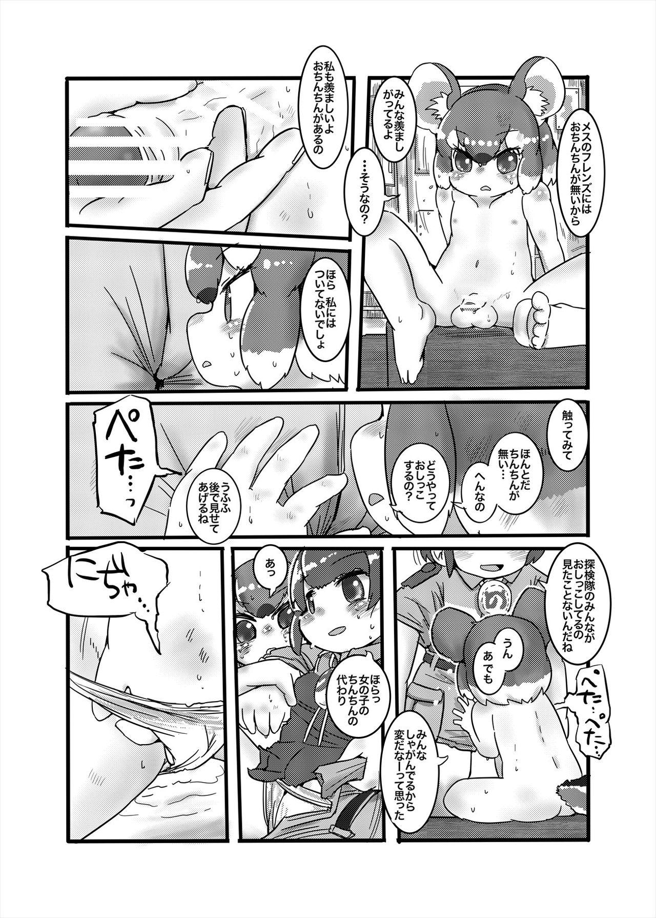 Friends Mae Shippo Goudoushi 293