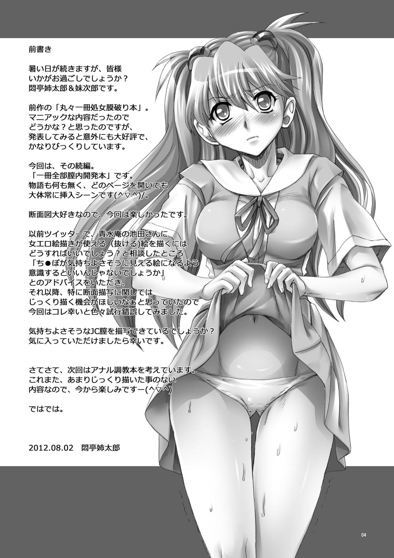 Amazing Asuka, Chitsunai Choukyou - Neon genesis evangelion | shin seiki evangelion Step Sister - Page 4