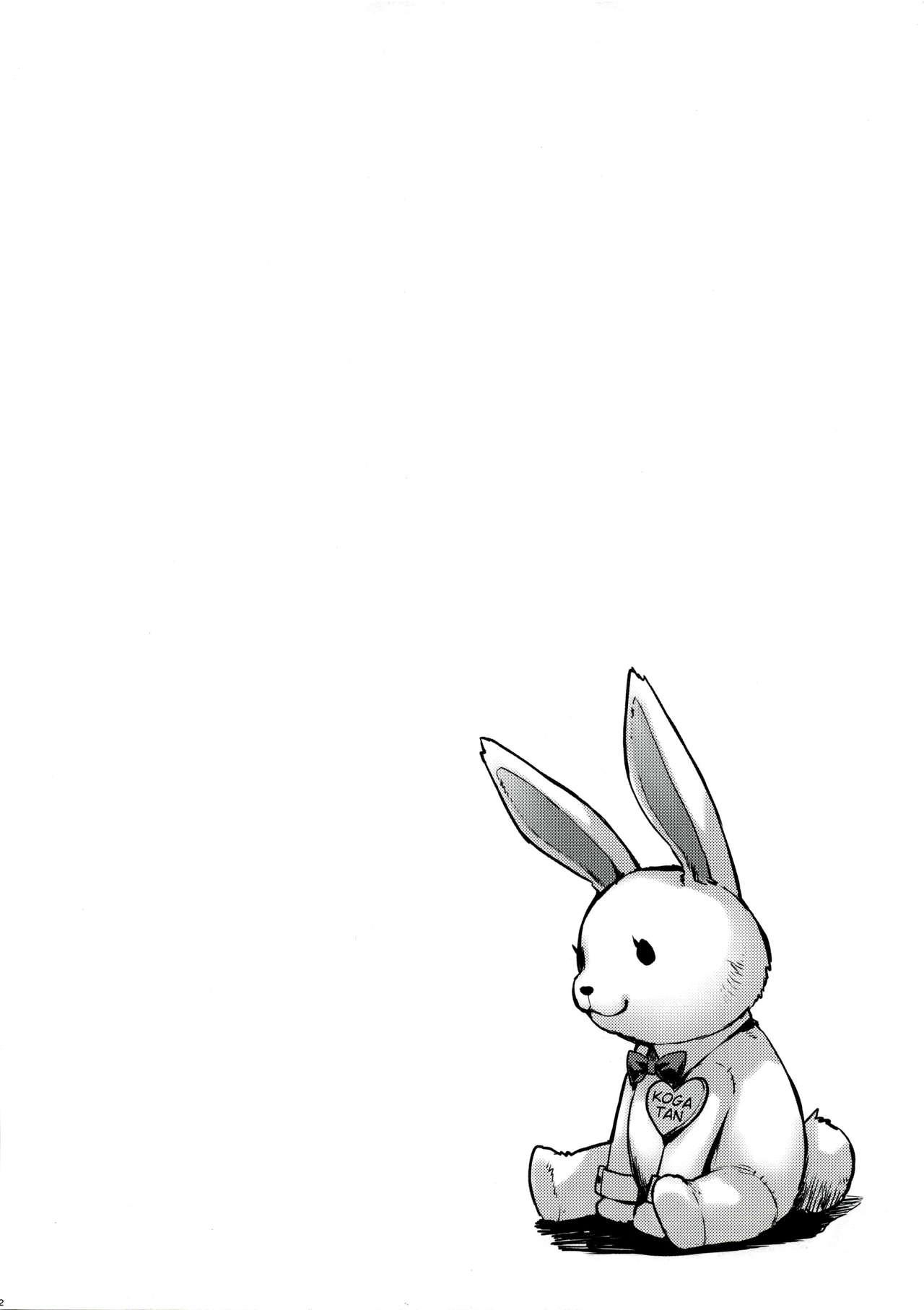 Bunny Koga-tan 2