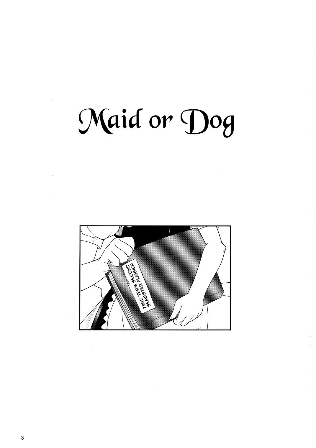 Maid or Dog 1