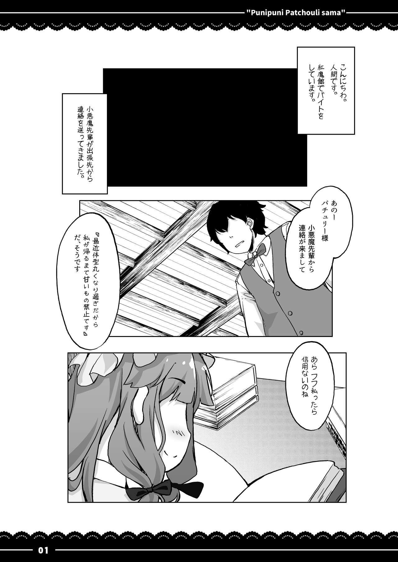 Transsexual Punipuni Patchouli-sama - Touhou project Outdoor Sex - Page 2