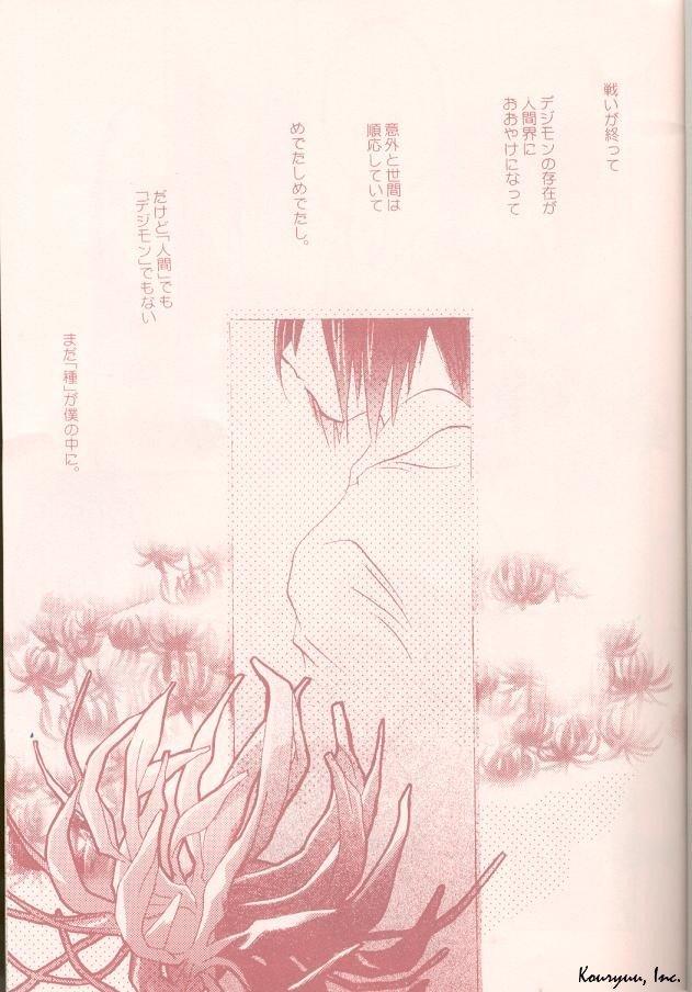 Porra Heartless Red - Digimon adventure Bangbros - Page 2
