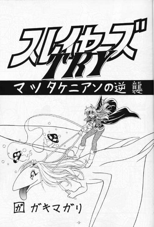 Spoon Kyou no Ohiru wa Viking Kanzenban - Slayers Indonesia - Page 4