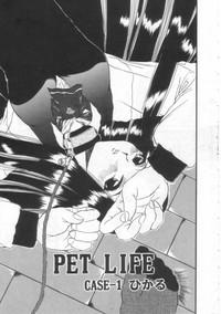 PET LIFE 6
