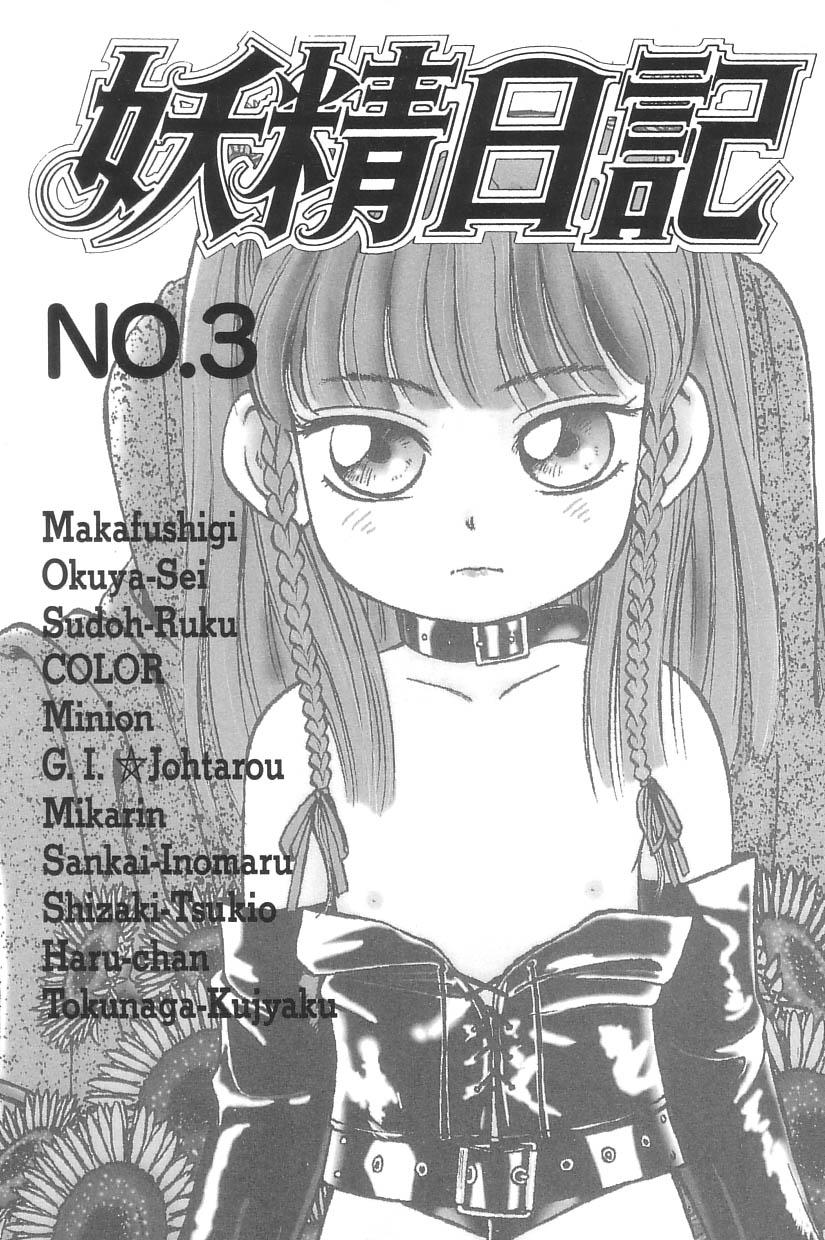 Yousei Nikki No. 3 10