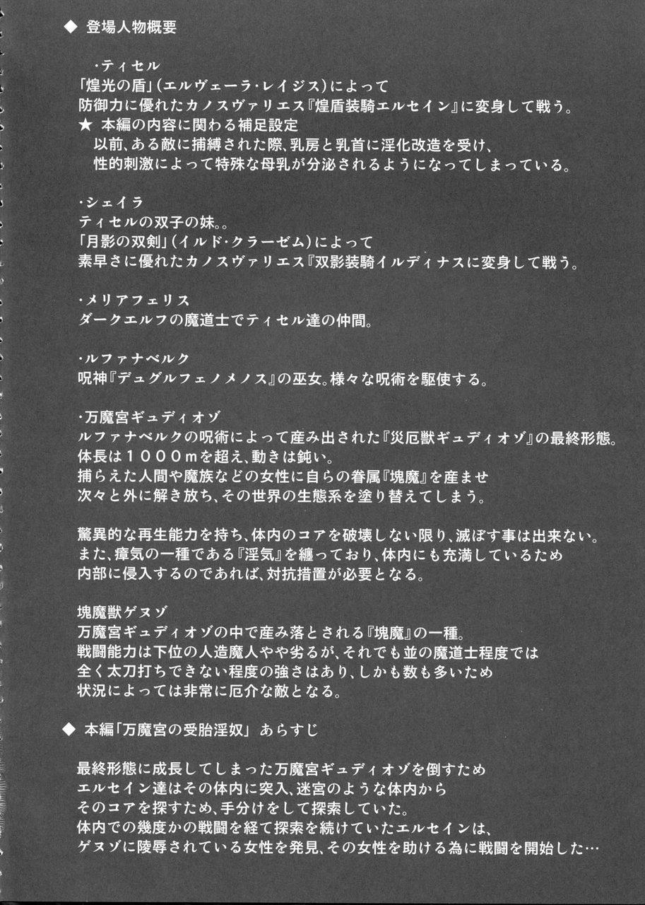 Point Of View Shield Knight Elsain Vol. 7 "Pandemonium no Jutai Indo" Cam - Page 3