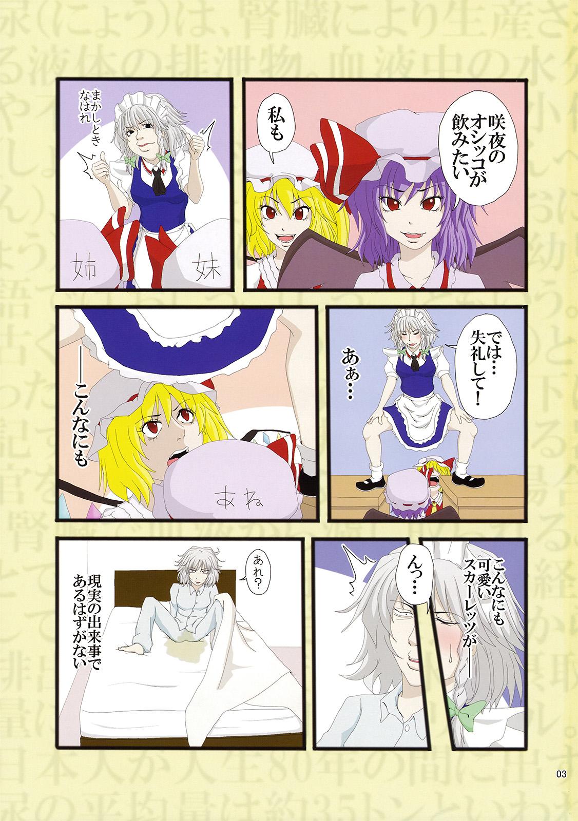 Porn Pussy 完全で瀟洒な尿者 - Touhou project Punished - Page 3