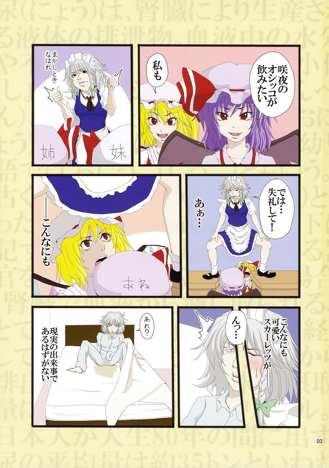 Making Love Porn 完全で瀟洒な尿者 - Touhou project Olderwoman - Page 3