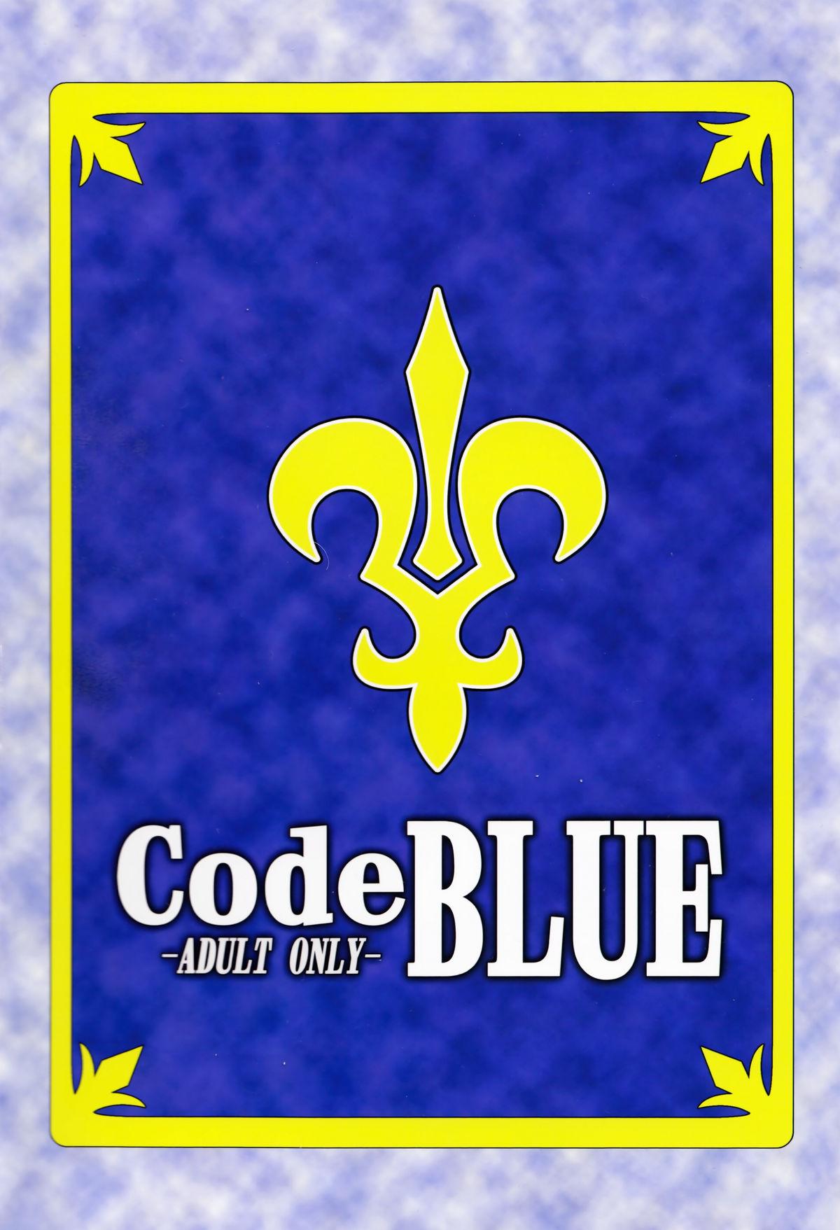 CodeBLUE 26