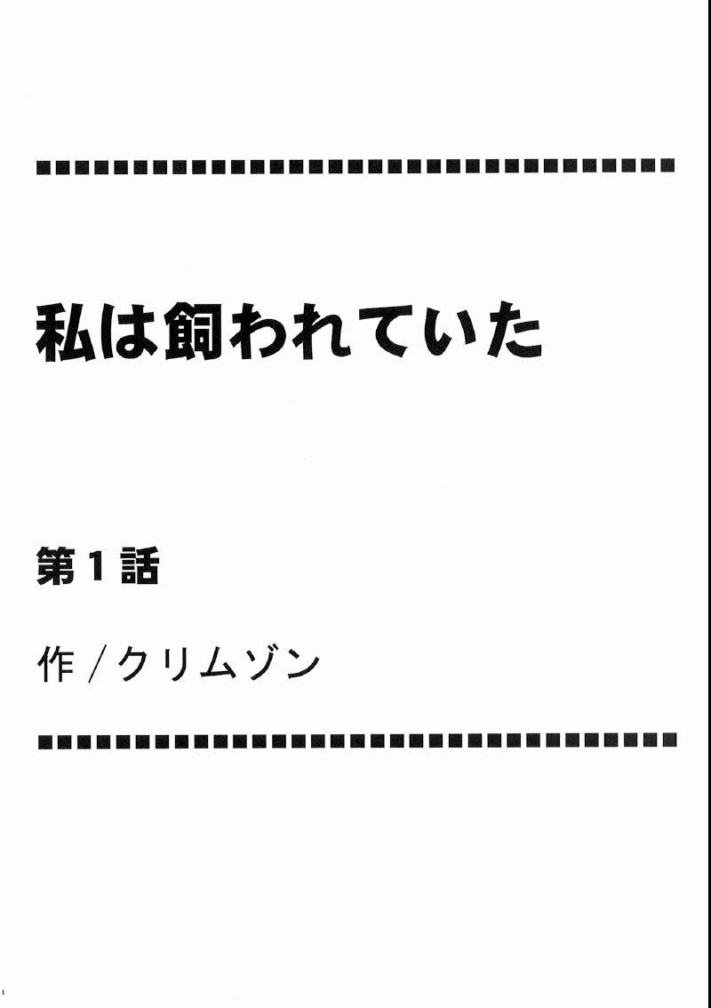 Chudai Watashi wa Kaware te i ta | I Was Kept - Final fantasy xiii Caught - Page 4