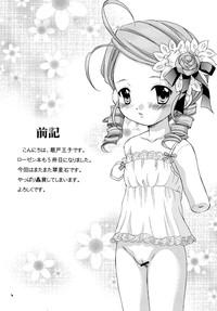 Perfect Ningyou Ai 5 Rozen Maiden Chichona 4