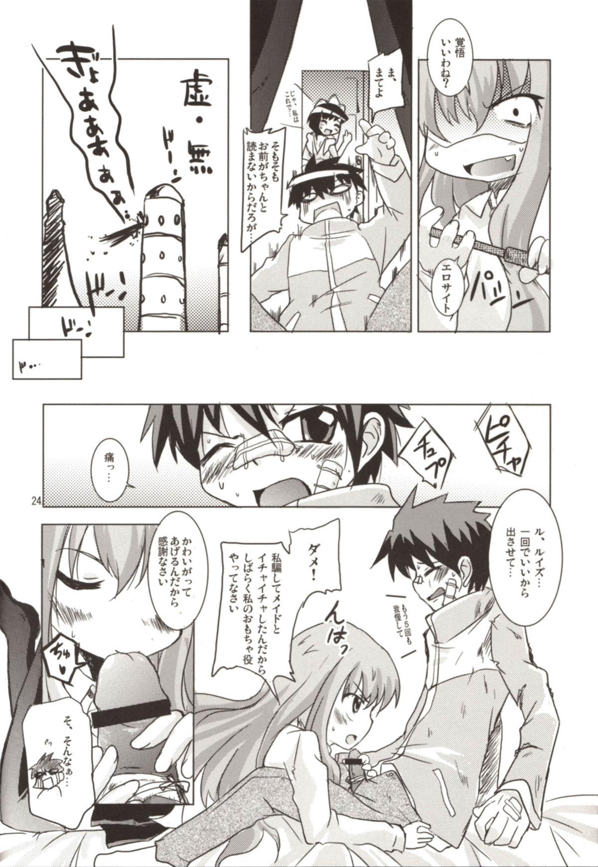 Bus Momoiro Megane Calamity - Zero no tsukaima White - Page 24