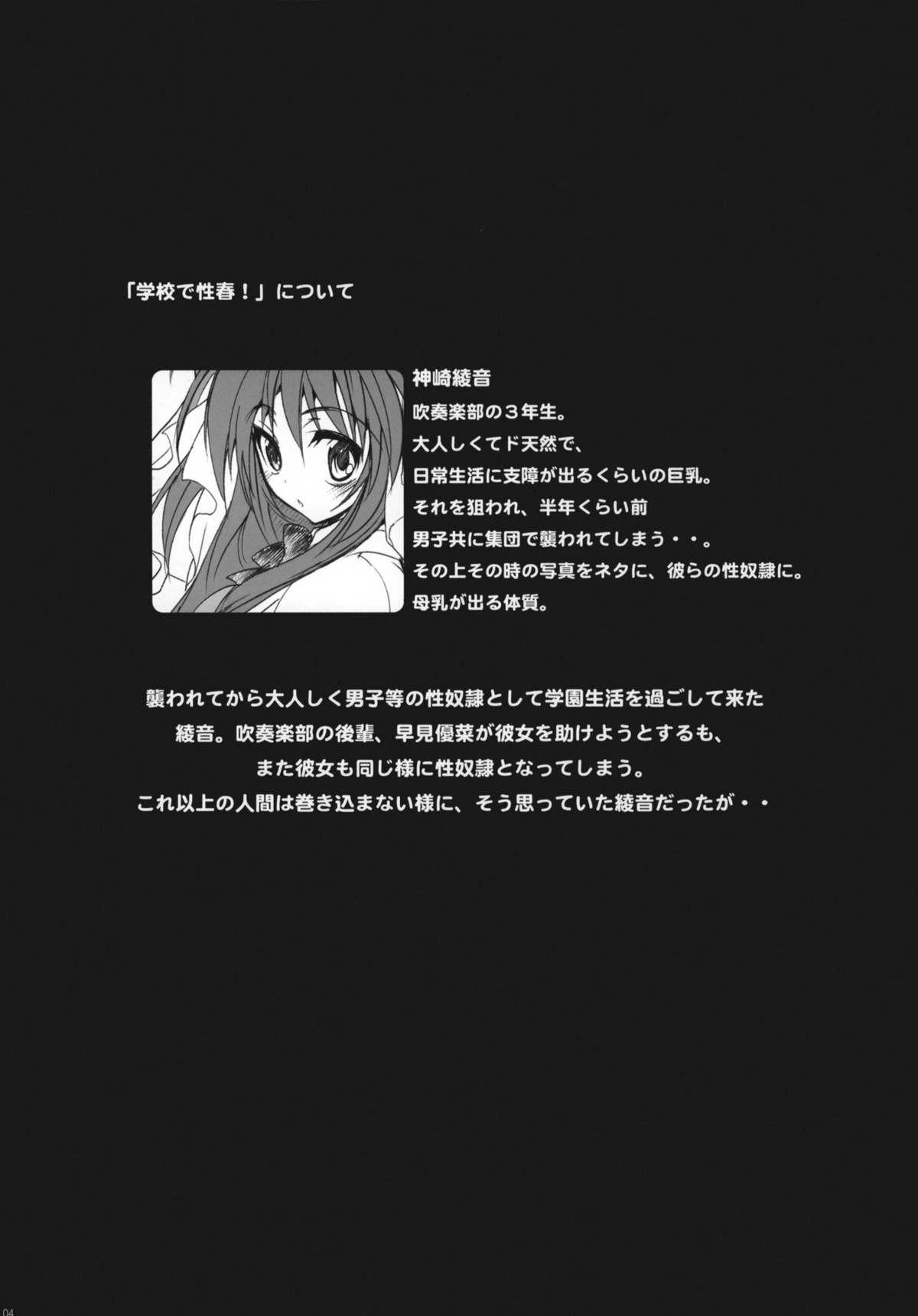 Deutsch (C78) [Otomekibun (Sansyoku Amido.)] Gakkou de Seishun! ~Doukyuusei mo Issho~ 4 Cock - Page 3