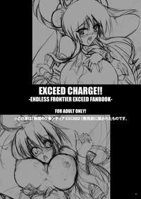 EXCEED CHARGE 3