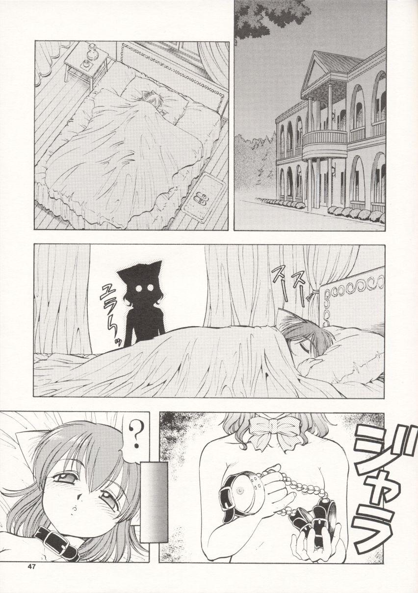 Maid Cats Story 45