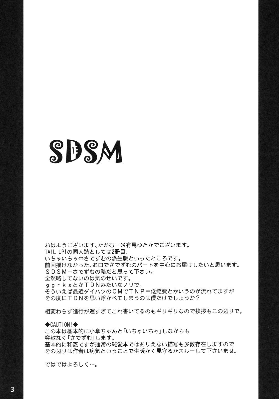 SDSM 1