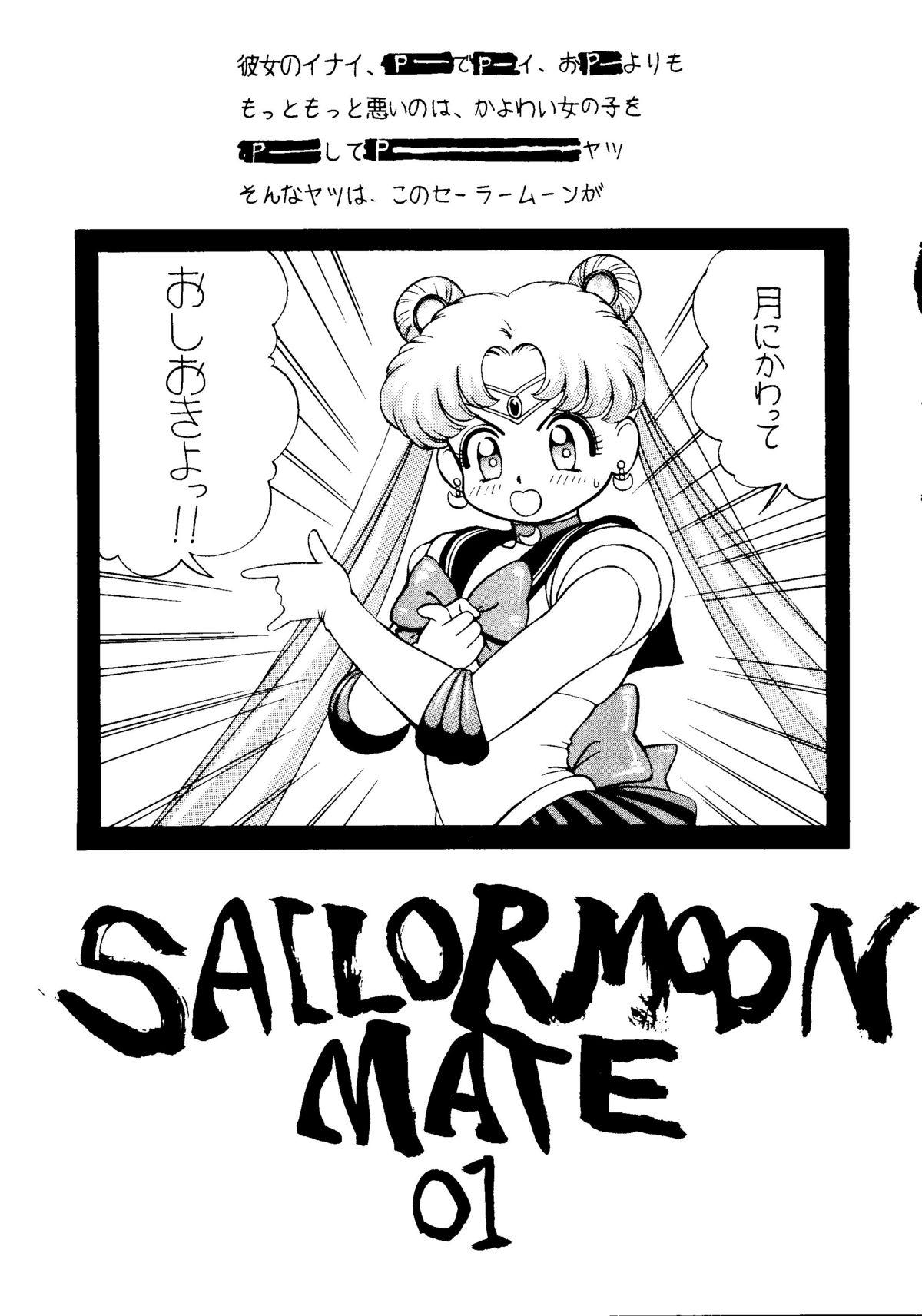 Stockings Sailor Moon Mate Vol. 1 - Sailor moon Spread - Picture 2