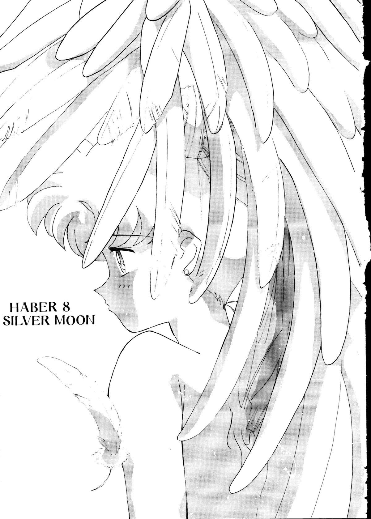 Best Blow Job HABER 8 SILVER MOON - Sailor moon Friend - Page 2