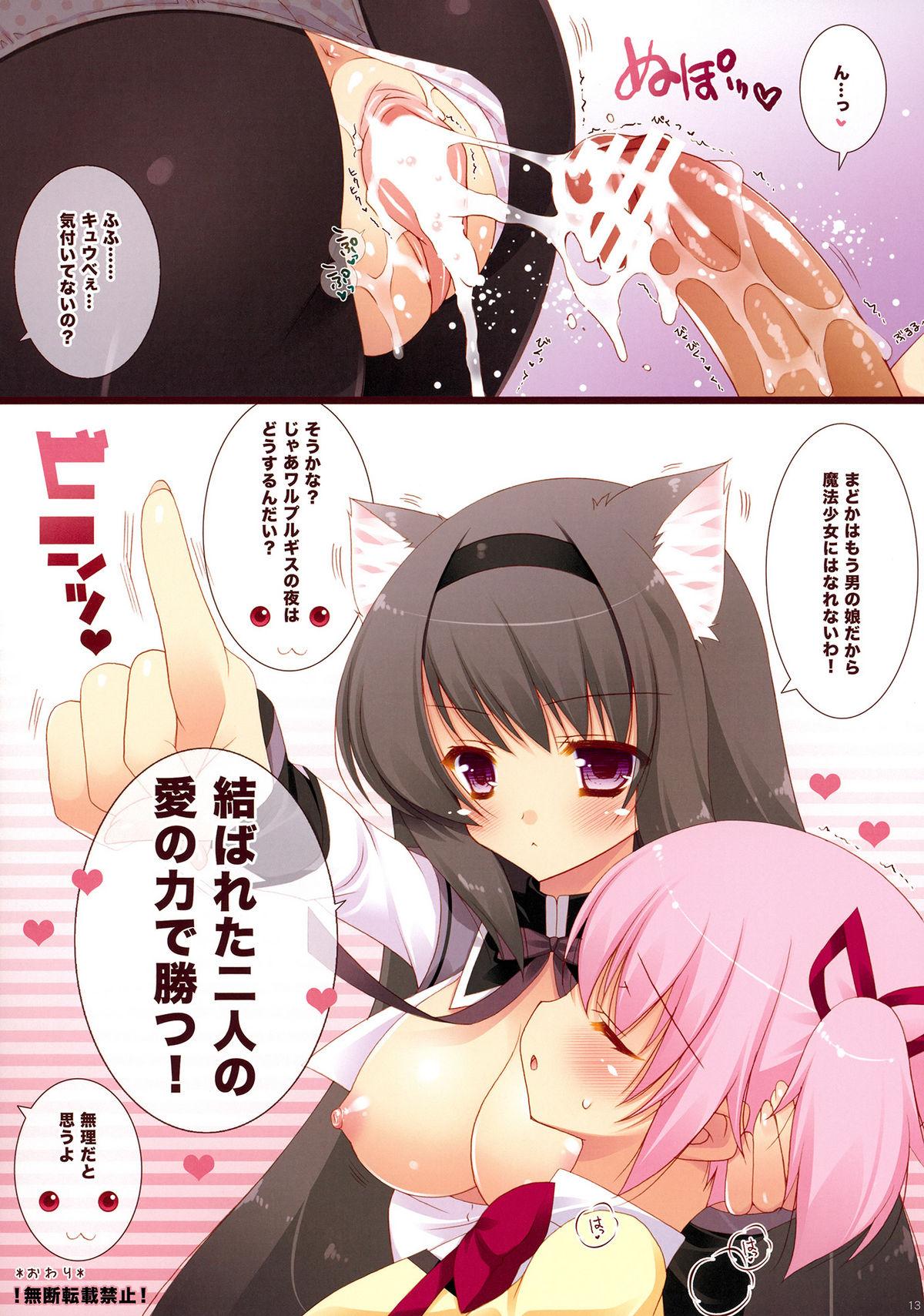 Boku to Keiyaku shite Nekomimi Shoujo ni Natte yo! 12