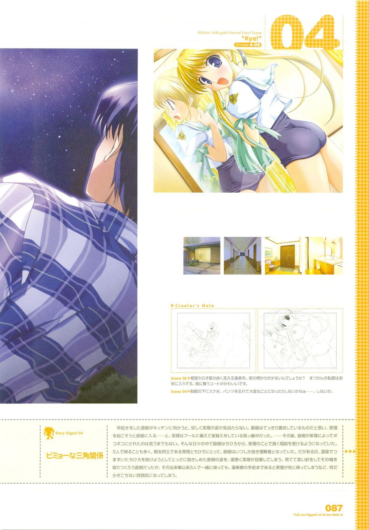 Tsuki wa Higashi ni Hi wa Nishi ni ～ Operation Sanctuary ～ Visual Fan Book 111