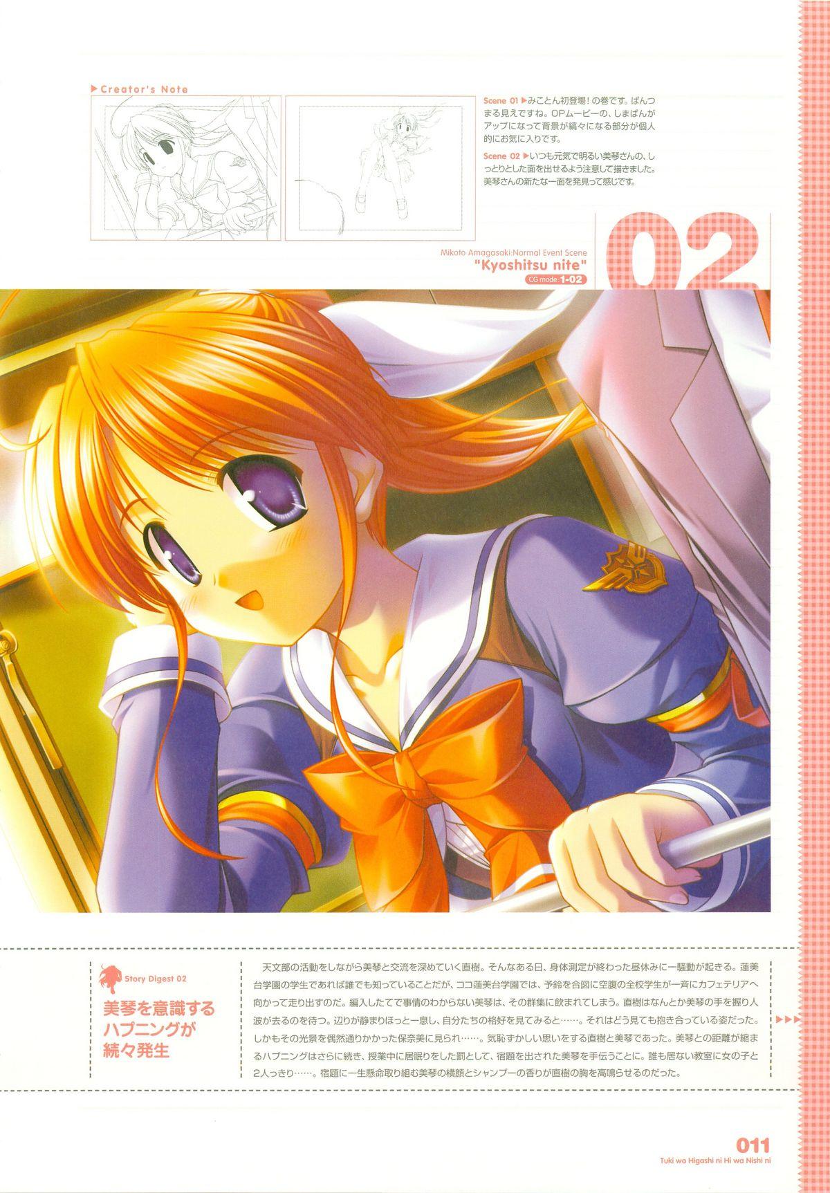 Tsuki wa Higashi ni Hi wa Nishi ni ～ Operation Sanctuary ～ Visual Fan Book 17