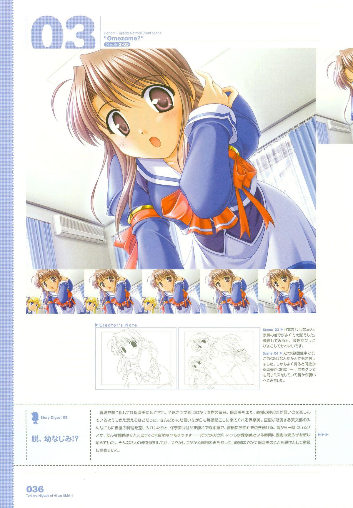 Tsuki wa Higashi ni Hi wa Nishi ni ～ Operation Sanctuary ～ Visual Fan Book 49