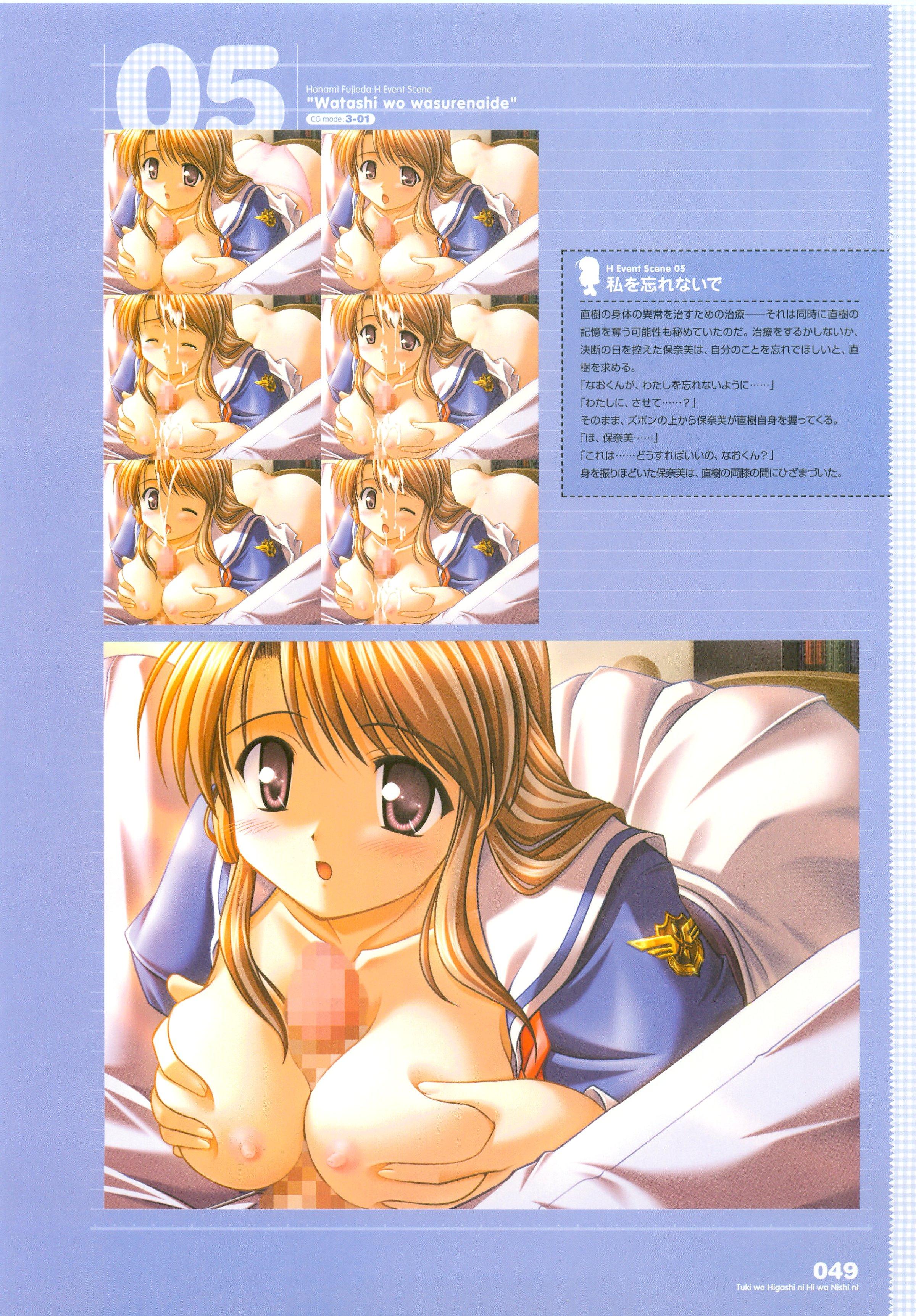 Tsuki wa Higashi ni Hi wa Nishi ni ～ Operation Sanctuary ～ Visual Fan Book 65