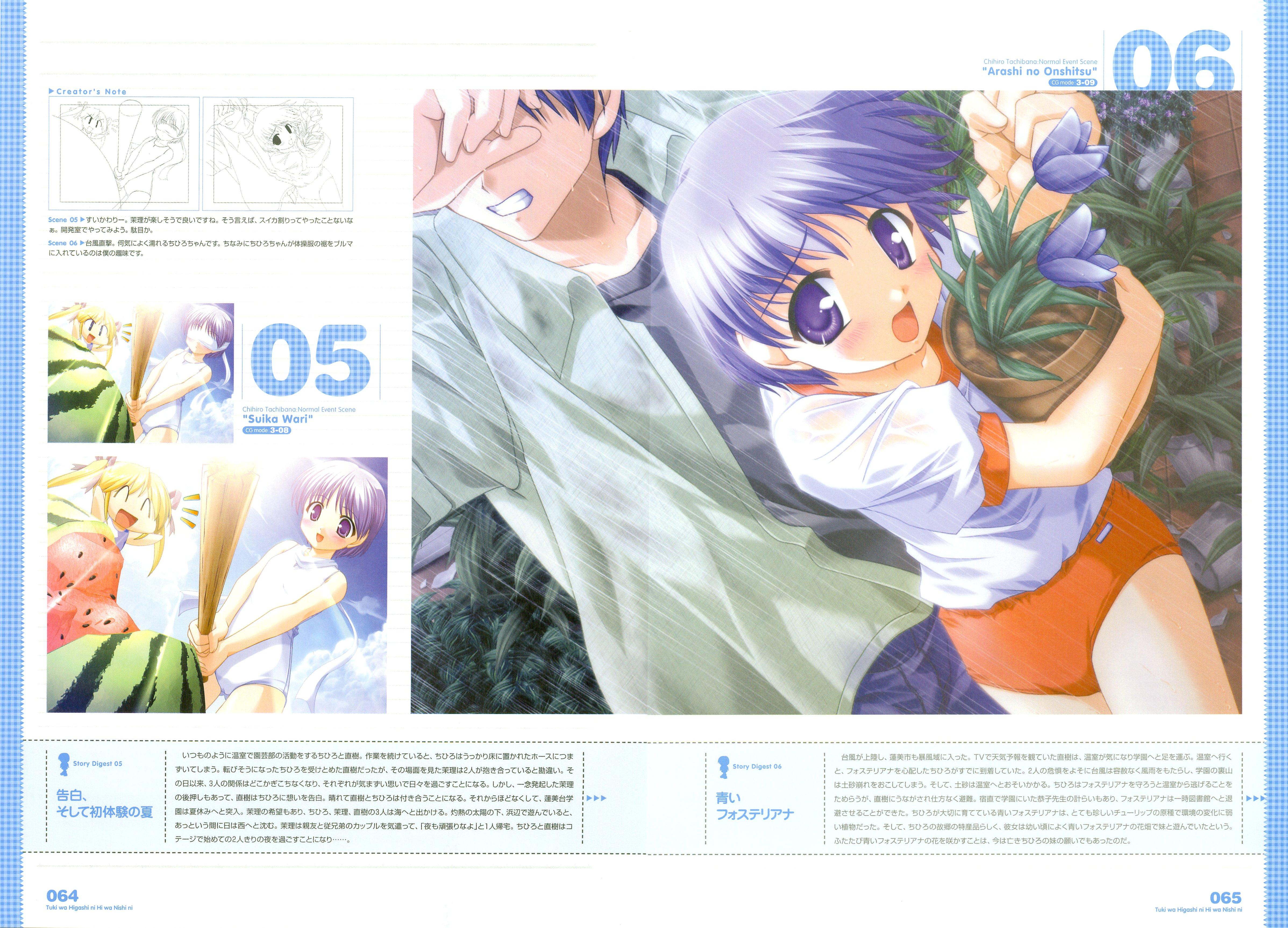 Tsuki wa Higashi ni Hi wa Nishi ni ～ Operation Sanctuary ～ Visual Fan Book 83