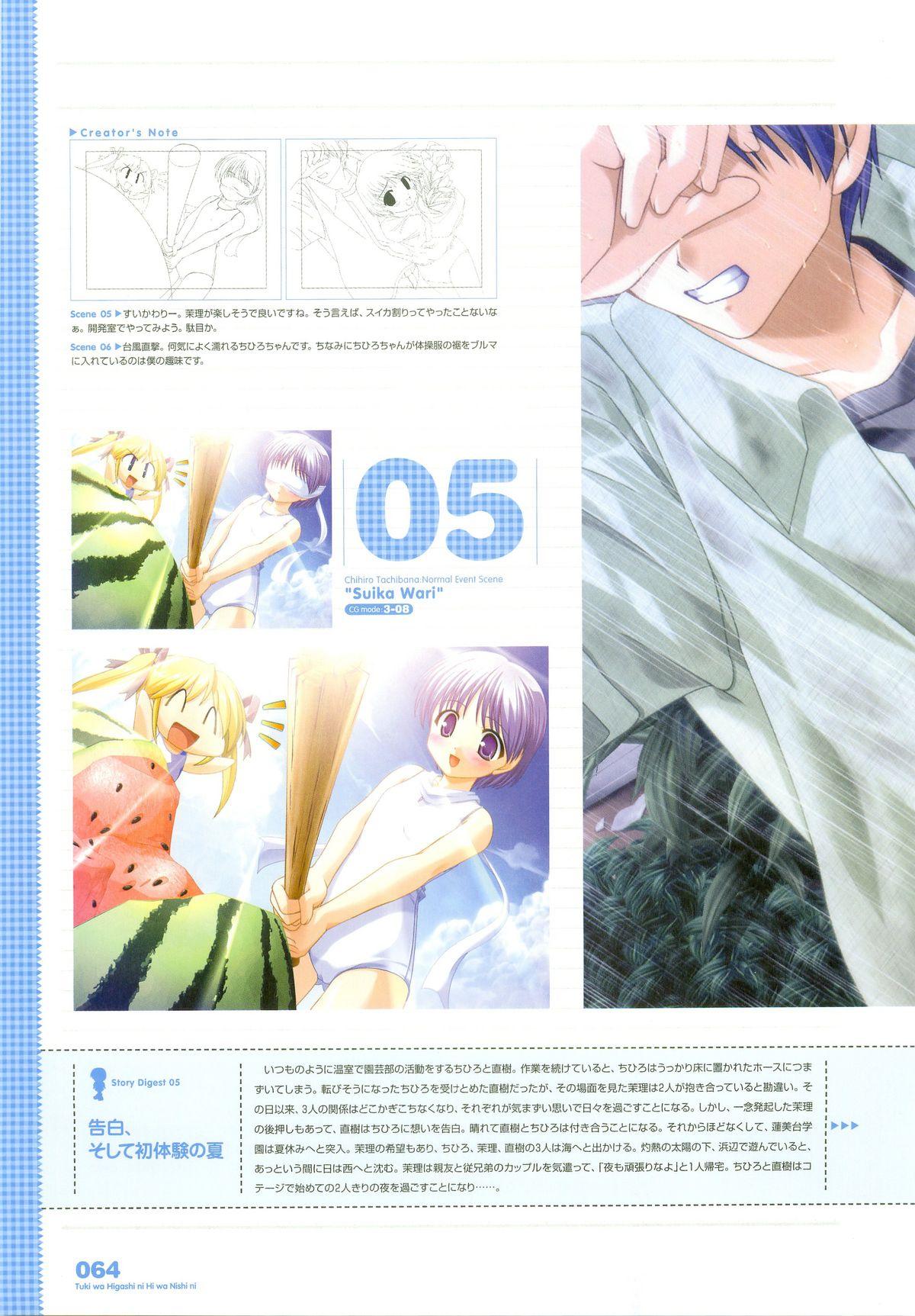 Tsuki wa Higashi ni Hi wa Nishi ni ～ Operation Sanctuary ～ Visual Fan Book 84