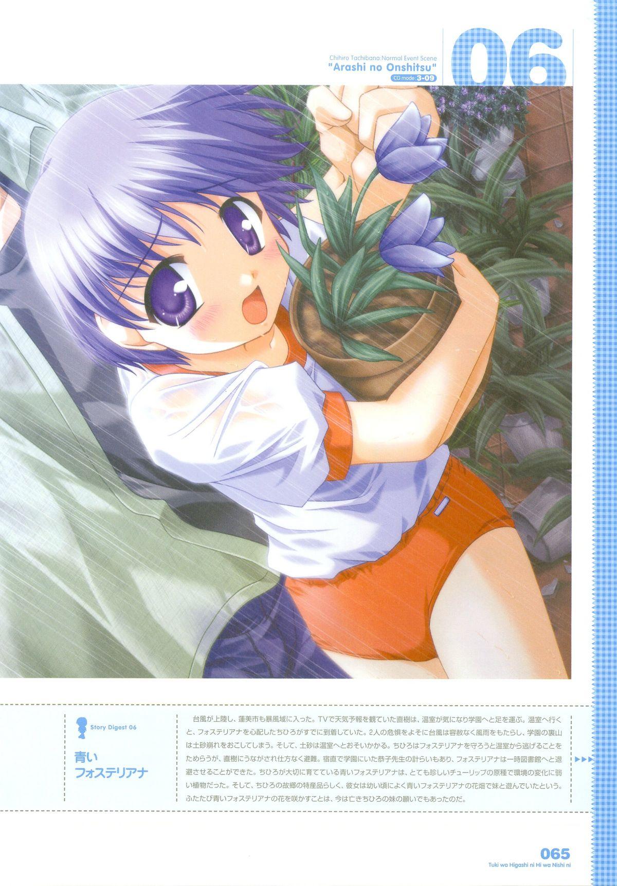 Tsuki wa Higashi ni Hi wa Nishi ni ～ Operation Sanctuary ～ Visual Fan Book 85