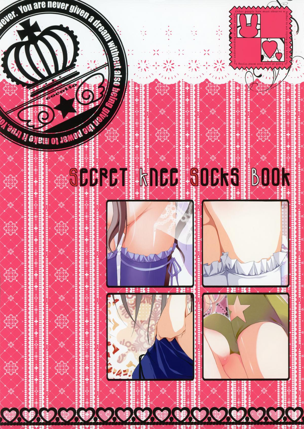 Secret Knee Socks Book 2