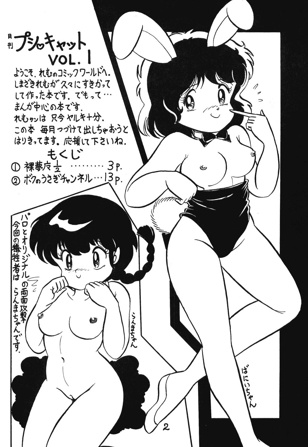 Dicksucking Nemuisidarui - Ranma 12 Fisting - Page 2