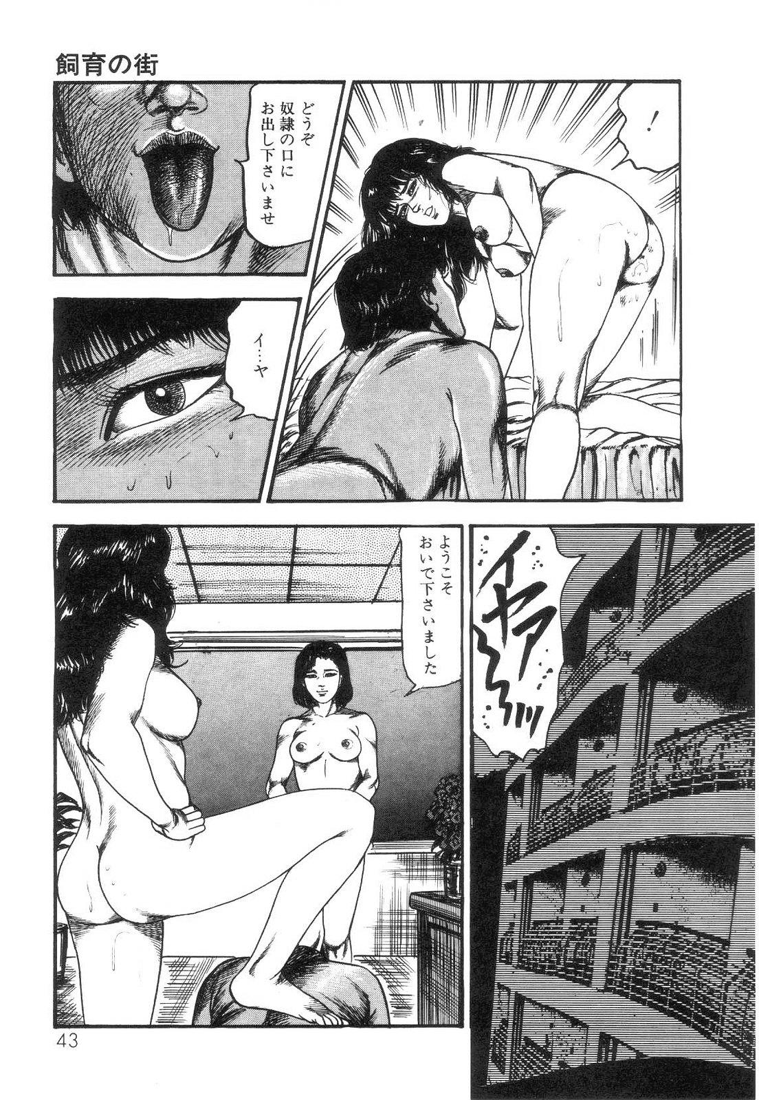 Shiro no Mokushiroku Vol. 4 - Bichiku Karen no Shou 44