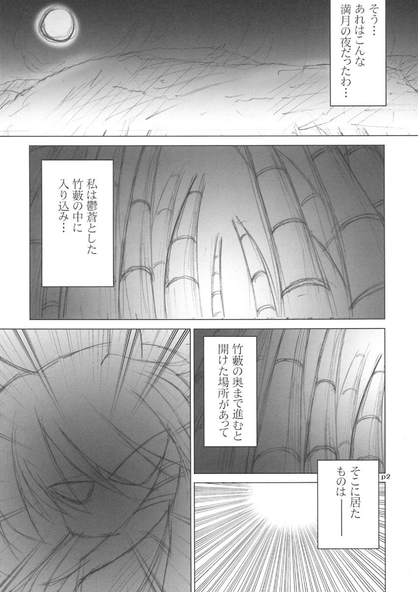 Amiga Meikyou Shisui - Touhou project Delicia - Page 3