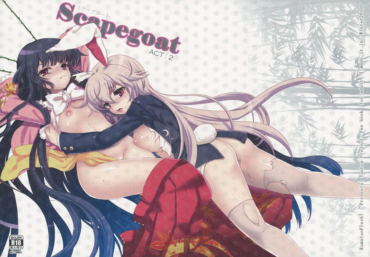 Hard Cock Scapegoat Act:2 - Touhou project Sis - Picture 1
