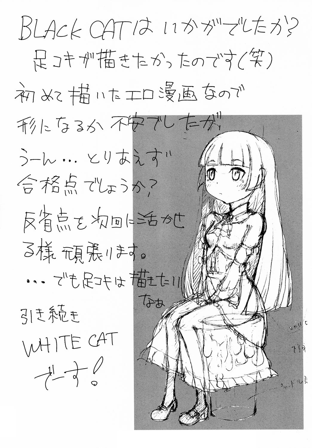 BLACK CAT WHITE CAT 14